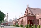 AMU Neutrino Physics Group savants receive esteemed fellowships