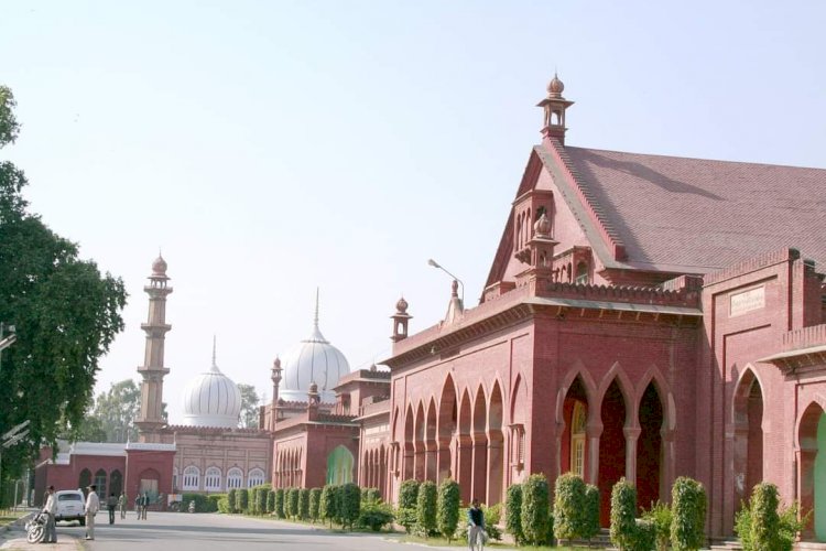AMU Neutrino Physics Group savants receive esteemed fellowships