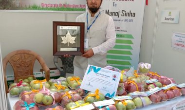 Young entrepreneur sets up online supply chain to redefine Kashmiri apple sale