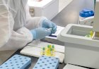 Covid-19 vaccine containing pork gelatin Halal for Muslims, says Jamaate-Islami Sharia Council