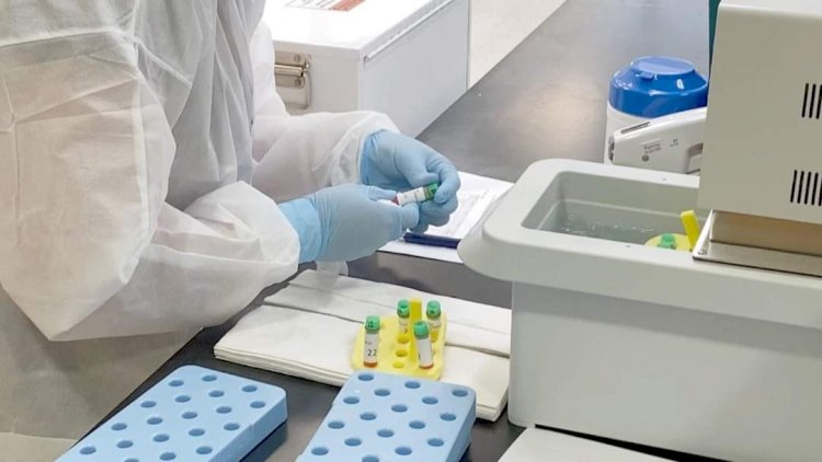 Covid-19 vaccine containing pork gelatin Halal for Muslims, says Jamaate-Islami Sharia Council